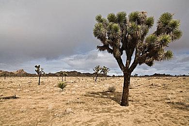 互动影像纪录游戏《杰夫·明特的故事》现已正式推出